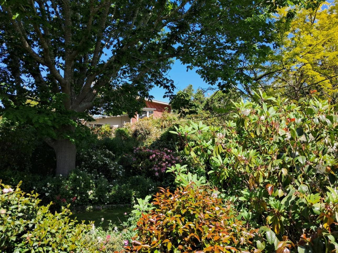 Bed and Breakfast Niloc Waimate Exterior foto
